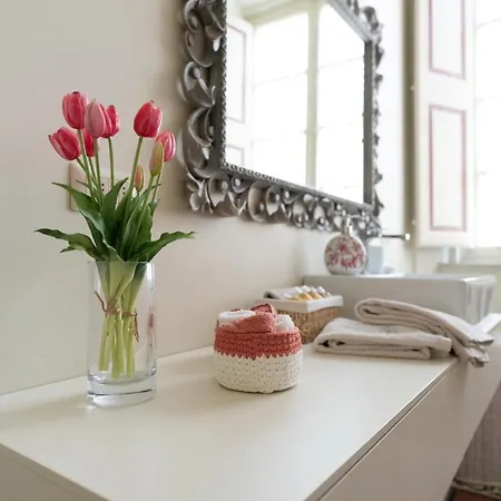 Appartement Dimora Leone à Lucques Extérieur photo